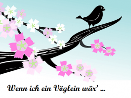 Sve o nemačkim glagolima na jednom mestu o nemačkim glagolima