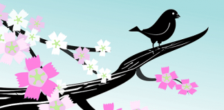 Sve o nemačkim glagolima na jednom mestu o nemačkim glagolima