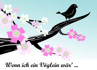 Sve o nemačkim glagolima na jednom mestu o nemačkim glagolima