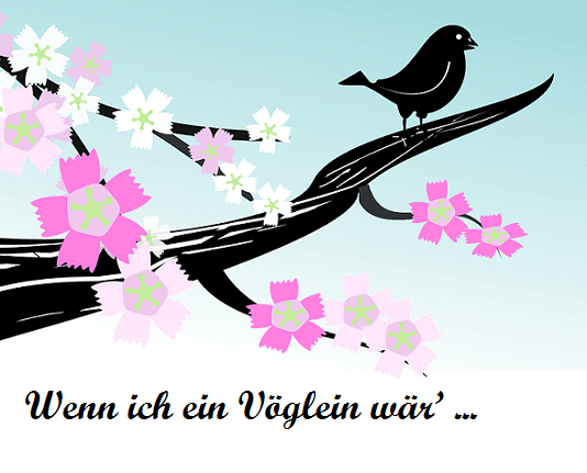 Sve o nemačkim glagolima na jednom mestu o nemačkim glagolima