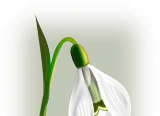 Deminutivi u nemačkom jeziku – das Fräulein, das Mädchen deminutivi u nemačkom