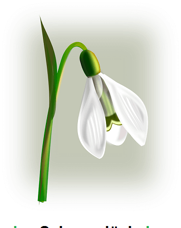 Deminutivi u nemačkom jeziku – das Fräulein, das Mädchen deminutivi u nemačkom