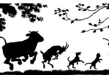 Nemačka imenica i njeni pomoćnici nemačka imenica i njeni pomoćnici