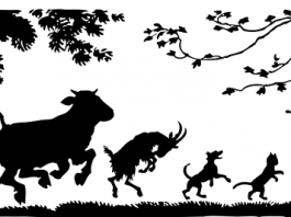 Nemačka imenica i njeni pomoćnici nemačka imenica i njeni pomoćnici