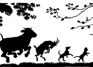 Nemačka imenica i njeni pomoćnici nemačka imenica i njeni pomoćnici