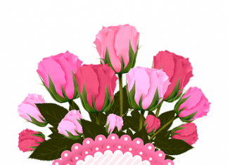 Ružičasta kao boja i simbol ružičasta boja