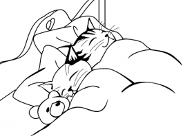 Perfekat mit sein – nemački glagoli koji grade perfekat sa pomoćnim glagolom sein perfekat nemački sa sein