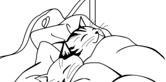 Perfekat mit sein – nemački glagoli koji grade perfekat sa pomoćnim glagolom sein perfekat nemački sa sein