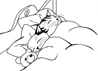 Perfekat mit sein – nemački glagoli koji grade perfekat sa pomoćnim glagolom sein perfekat nemački sa sein