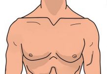 Nemačke imenice sa prevodom – delovi tela, zdravlje delovi tela nemački