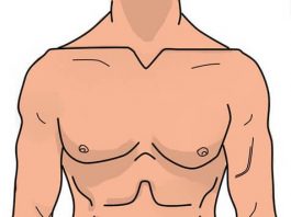 Nemačke imenice sa prevodom – delovi tela, zdravlje delovi tela nemački