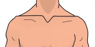 Nemačke imenice sa prevodom – delovi tela, zdravlje delovi tela nemački