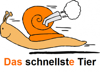 Superlativ u nemačkom jeziku, am ili određeni član superlativ u nemačkom