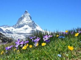 Učenje nemačkog u Švajcarskoj, Bazel – iskustva i preporuke nemačkog u švajcarskoj