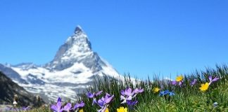 Učenje nemačkog u Švajcarskoj, Bazel – iskustva i preporuke nemačkog u švajcarskoj