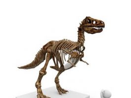 Nemački usmeni ispit – U poseti muzeju nemački usmeni ispit