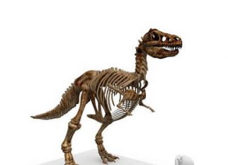 Nemački usmeni ispit – U poseti muzeju nemački usmeni ispit